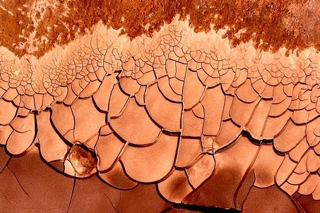Evaporation Generated Fractals